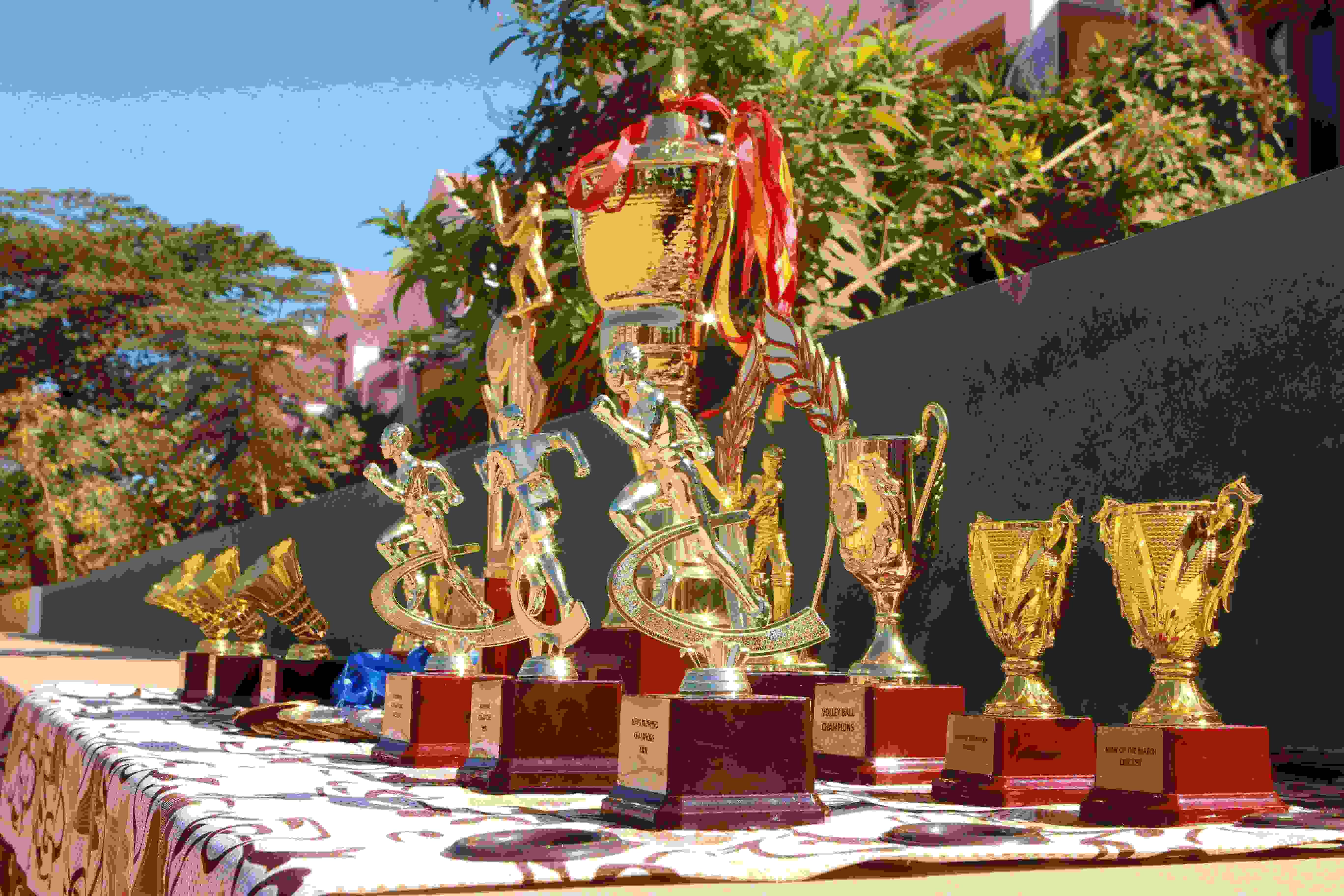 Annual Sports cups